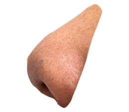 497327557