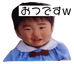 497335593