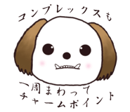 4973405