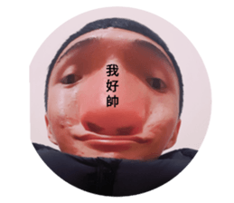 497348559
