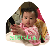 49735339