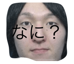 497359417