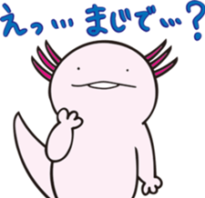 497517887