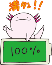497517897