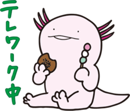 497517911