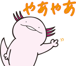 497517912