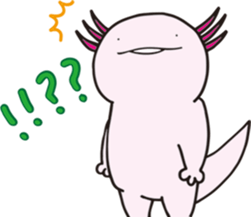 497517916