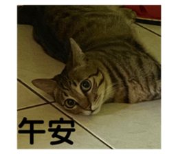 497537311