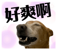 497538141