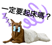497538158
