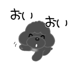 497544183