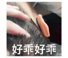 497551902