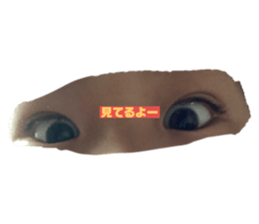 497552249