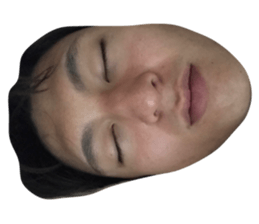 497553158