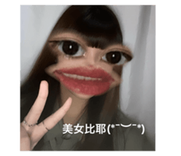 497554190