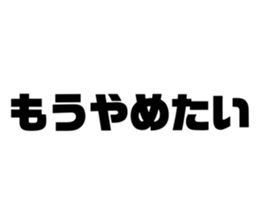 497554915