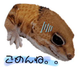 497564040