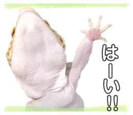 497564044
