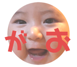 497564197
