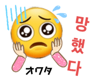 497565333