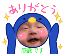 497569007