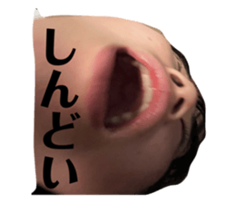 497590124