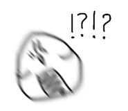 497594148