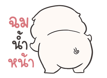 ลายที่ 11