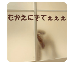 497614284