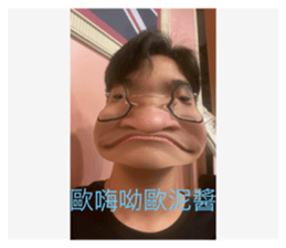497616242