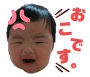 497619120