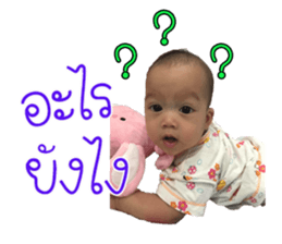 49762123