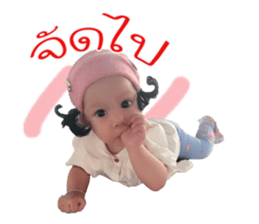 49762130