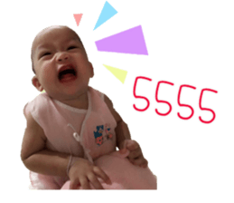 49762133