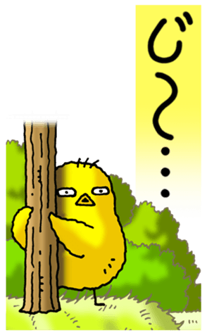 497630321