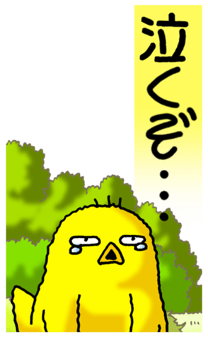 497630324