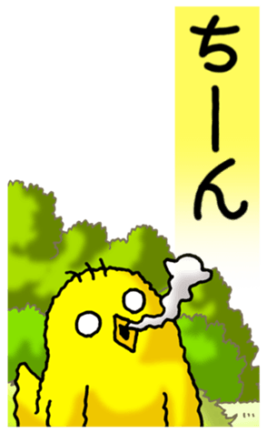 497630329