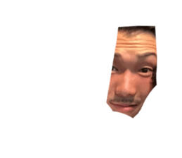 49765186