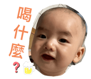 497697308