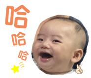 497697309