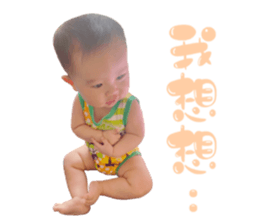 497697362