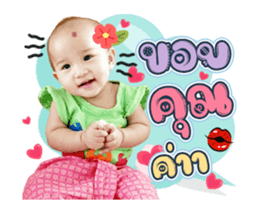 497734806