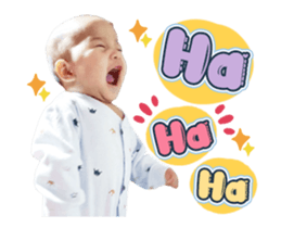 497734820