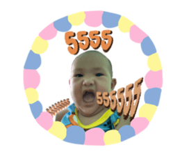 497766618