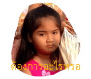 497767255