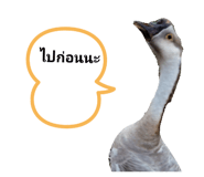 497786189
