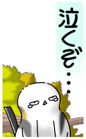 497805420