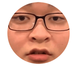 497806577