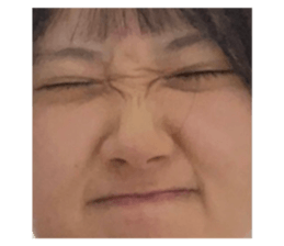497808412