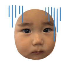 497809847